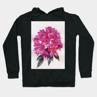 Pink rhododendron watercolour painting Hoodie